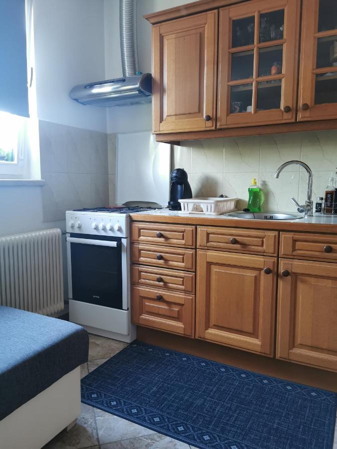 Apartman I Soba Hadela スヴェティ・マルティン・ナ・ムリ エクステリア 写真